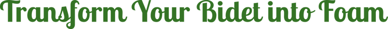 The Foaming Bidet logo