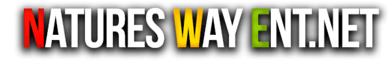 DirectMusicTvAmerica.com logo