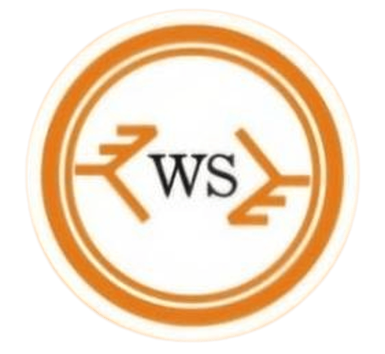 WireWize Security Ltd. logo
