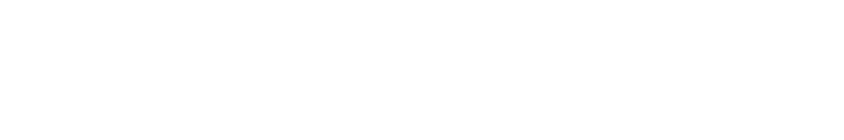 Wild Goose Montana Company logo