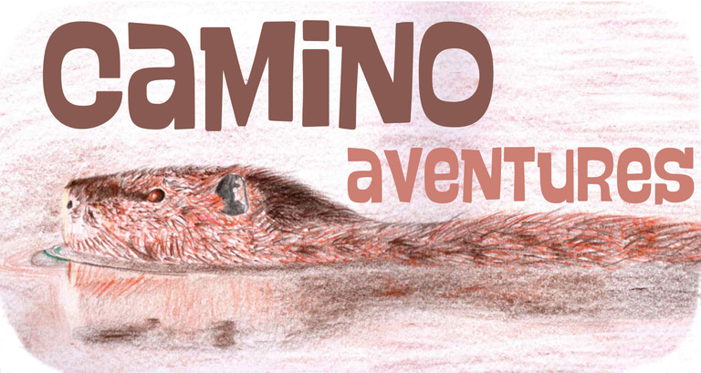 CaminO - le chemin de l'eau logo