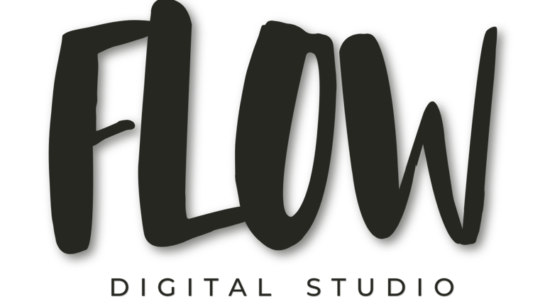 Digital Flow Studios logo