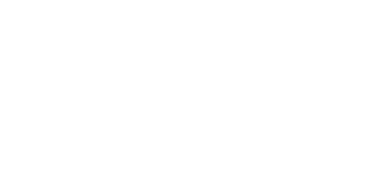 plein19 logo