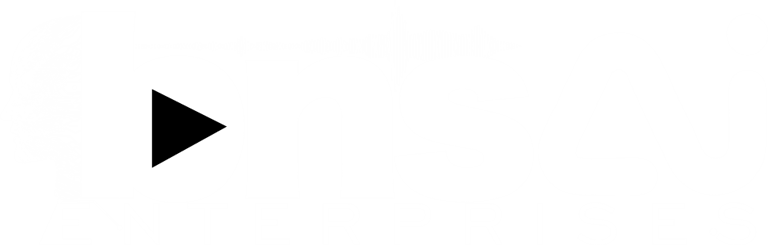 BNS AI Enterprise logo