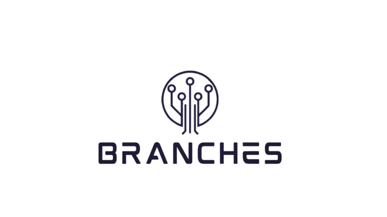 Branches Fiber Network logo