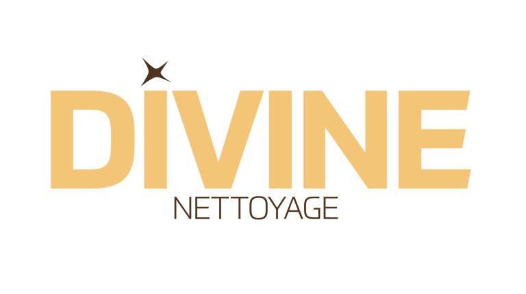 Divine Textile logo
