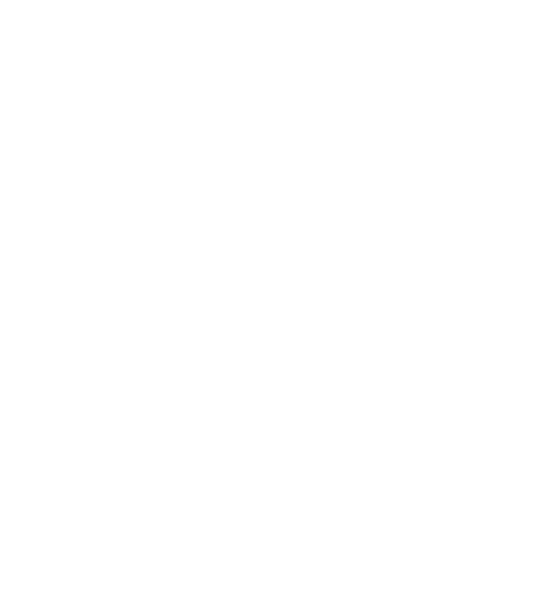 Instituto Evoluir e Ser logo