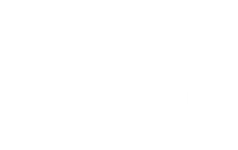 Leandro Fernandes Projetos e Soluções Tecnológicas logo