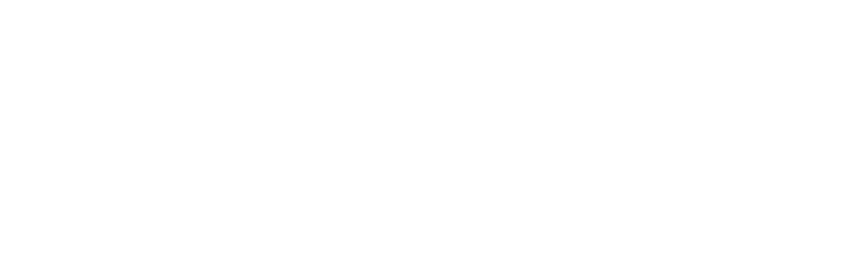 Sternox logo