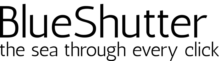 the global underwater gallery logo