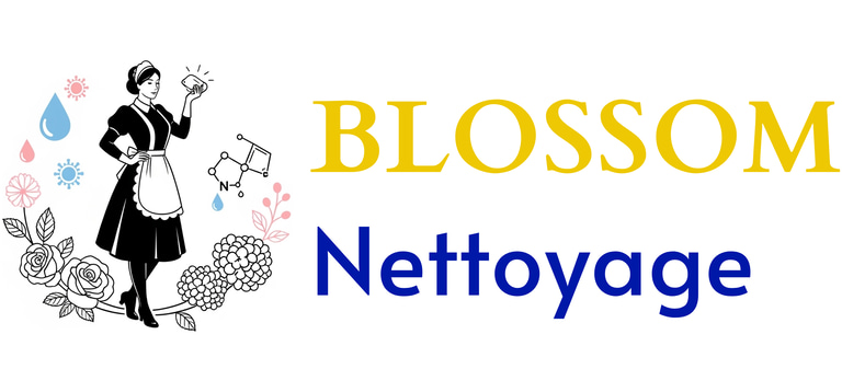 Blossom Nettoyage logo