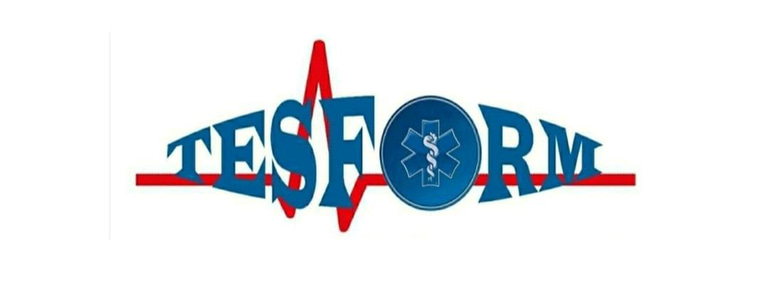 Tesform logo