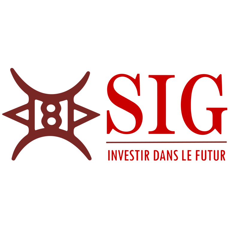 SMART INVESTMENT GROUP logo