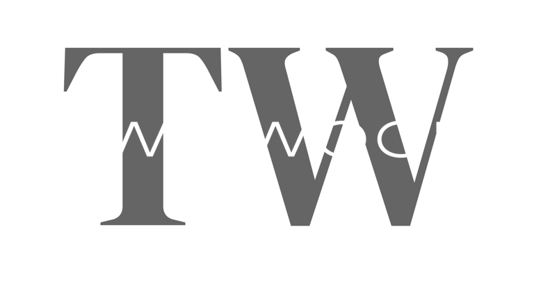 TwinWood Construction Services LLC logo