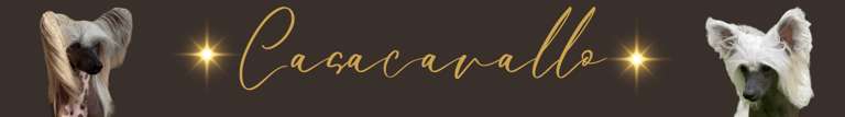 Casacavallo logo