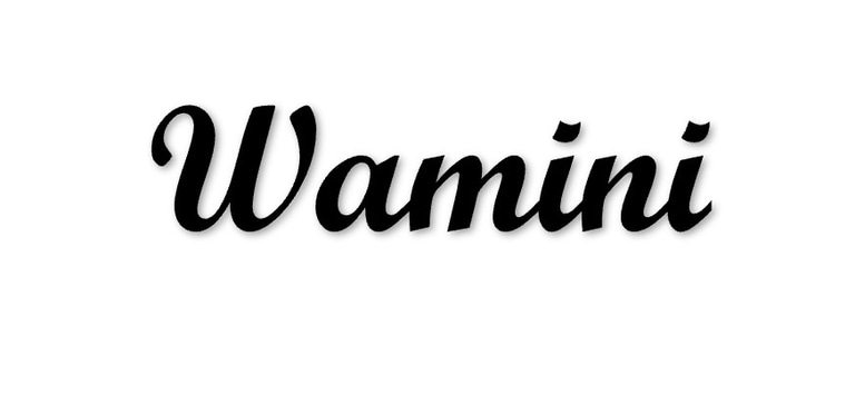 Wamini logo