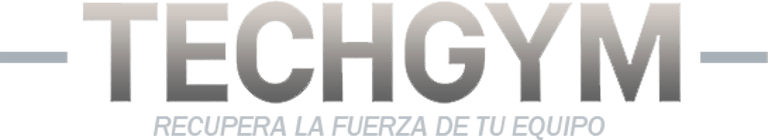 TECHGYM logo