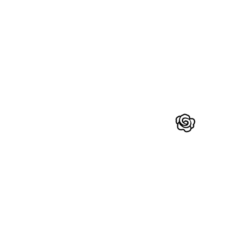 Souls Passion Models logo