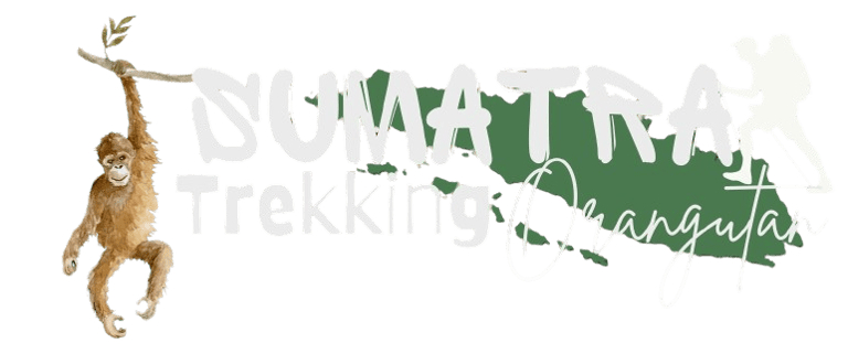 Sumatra Trekking Orangutan logo