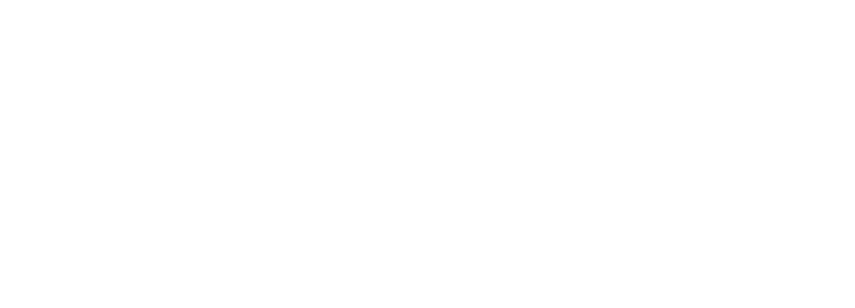 nexweb logo
