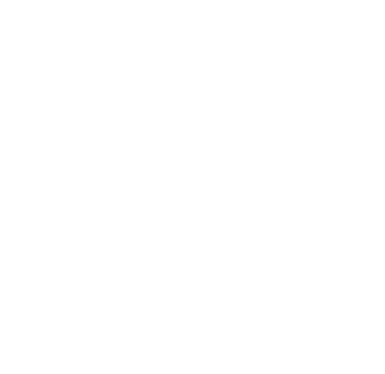 Fusion Cebiche logo