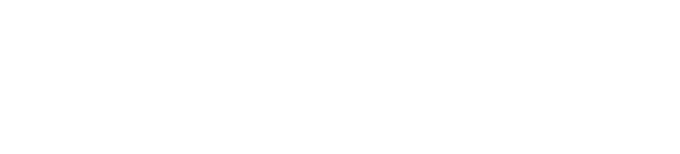 Newswire AI logo