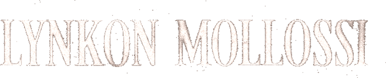 Lynkon Mollossi logo