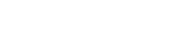 ASEM France Exacta logo