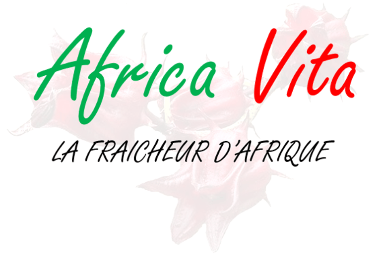 AFRICAVITA logo