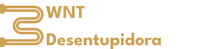 WNT DESENTUPIDORA logo