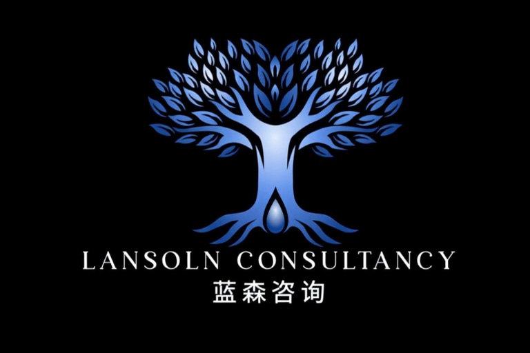 Lansoln Consultancy logo