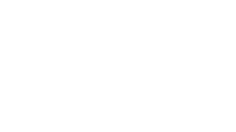 Leadimo logo