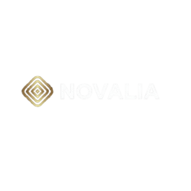 Agence Novalia logo