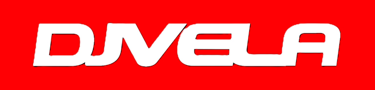 DJ VELA logo