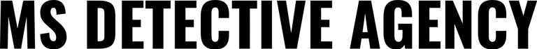 MS DETECTIVE AGENCY logo