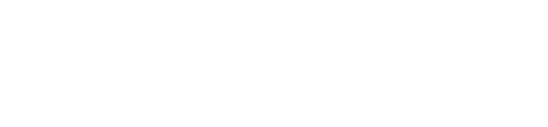 Pivotal Logic logo