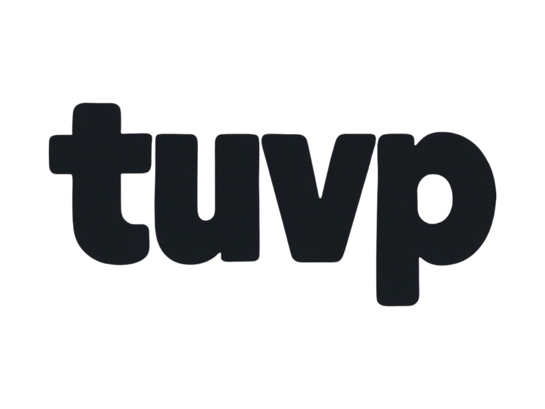 VIP DMV DEALER SERVICES logo