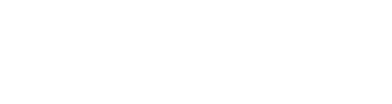Tametal logo