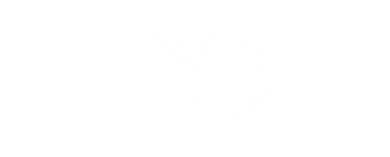 Nayara Evangelista logo