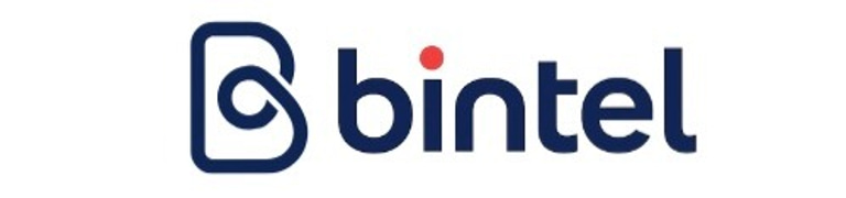 Bintel Networks LLP logo