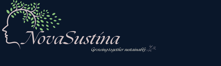 NovaSustina logo