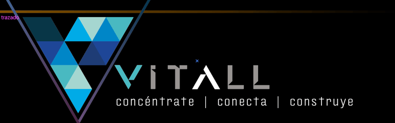 Vitall logo