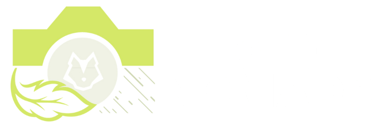 FotoNomads logo
