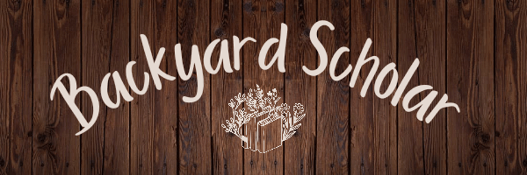 Backyard Scholar logo