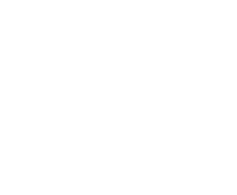 Dr. Fabrício Bolpato, PhD Médico Ortopedista  logo