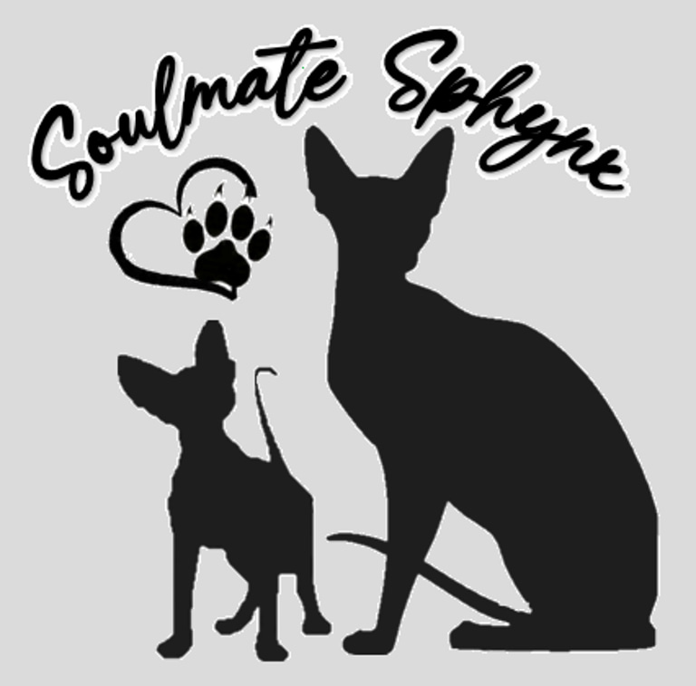 Southernbell Sphynx logo