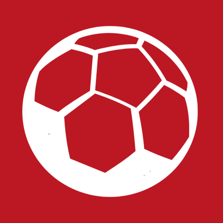 soccerveins logo