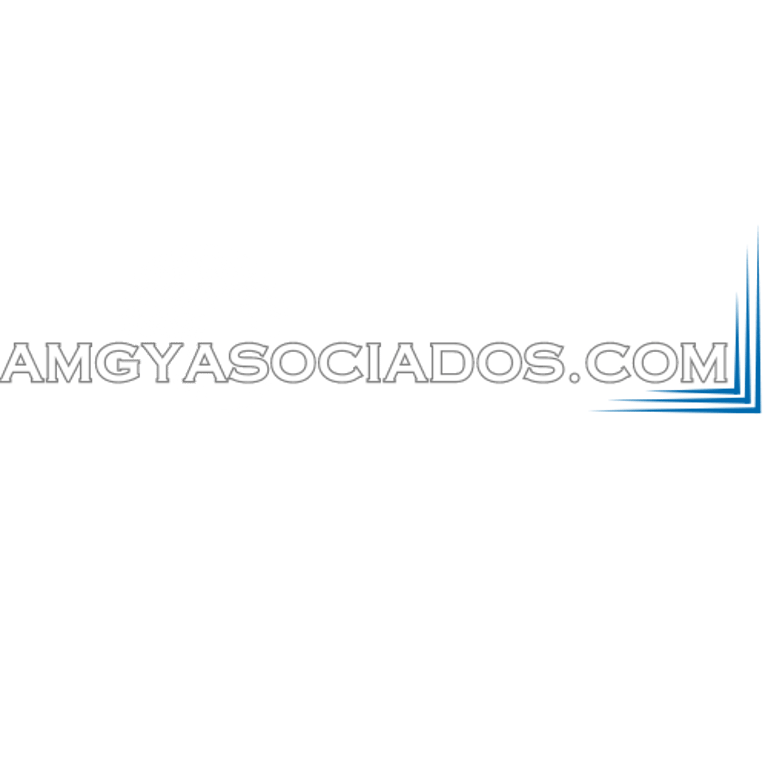 AMG y Asociados logo