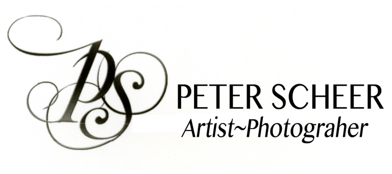 Artist~Photographer logo