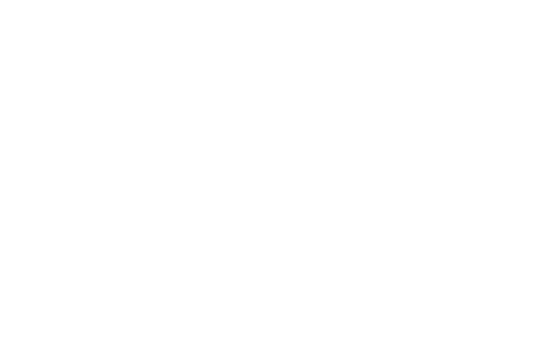 www.littleninjakickboxing.co.uk logo